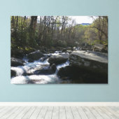 Lente op de kleine duivenrivier canvas afdruk (Insitu (Houten vloer))