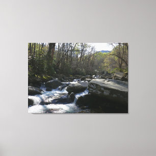 Lente op de kleine duivenrivier canvas afdruk