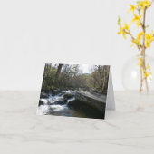 Lente op de kleine duivenrivier kaart (Gele Bloem)