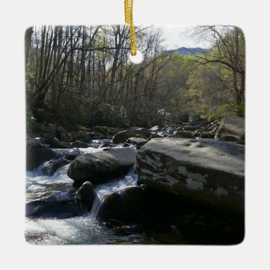 Lente op de kleine duivenrivier keramisch ornament (Voorkant)