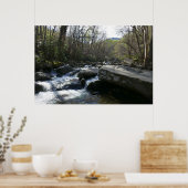 Lente op de kleine duivenrivier poster (Keuken)