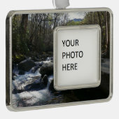 Lente op de kleine duivenrivier verzilverd omlijst ornament (Rechts)