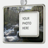 Lente op de kleine duivenrivier verzilverd omlijst ornament (Links)
