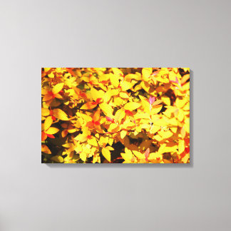 Lente op het Arboretum 6 Canvas Afdruk