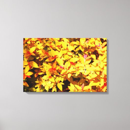 Lente op het Arboretum 6 Canvas Afdruk (Voorkant)