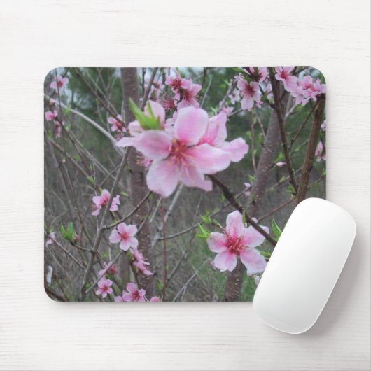 Lente op het boerderij, DJ 06 Muismat (Met muis)