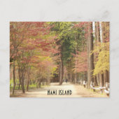 Lente op het Briefkaart van Nami (Voorkant)