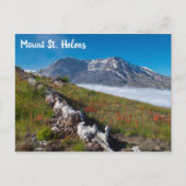 Lente op Mount St. Helens Briefkaart (Voorkant)