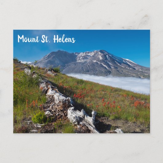 Lente op Mount St. Helens Briefkaart (Voorkant)