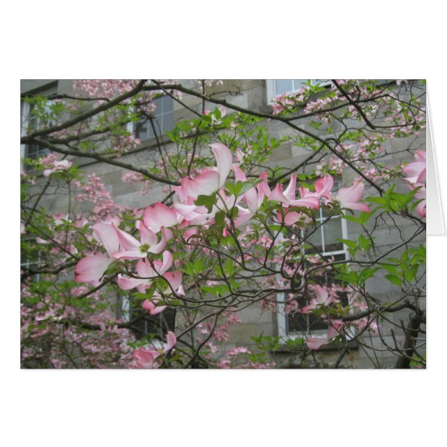 Lente op Swarthmore College (Voorkant Horizontaal)