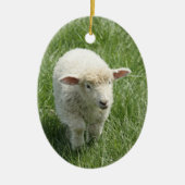 Lente/Pasen: Merkwaardige lammeren, lyrische lylet Keramisch Ornament (Voorkant)