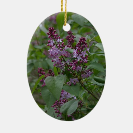 Lente/Pasen: Merkwaardige lammeren, lyrische lylet Keramisch Ornament (Achterkant)