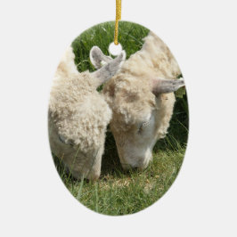 Lente/Pasen: Twee lammeren hetzelfde gras, één voo Keramisch Ornament