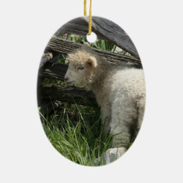 Lente/Pasen: Twee lammeren hetzelfde gras, één voo Keramisch Ornament