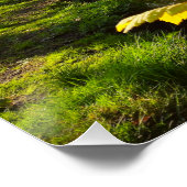 lente perfect poster (Hoek)