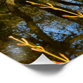 lente perfect poster (Hoek)