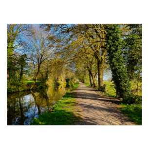 lente perfect poster