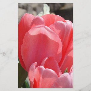 Lente Persoonlijk Stationery Roze Tulp Bloemen Briefpapier