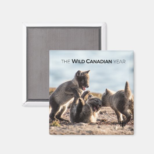 Lente - poolvos magneet (Voorkant / Achterkant)