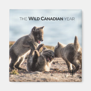 Lente - poolvos magneet