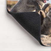 Lente - poolvos muismat (Hoek)