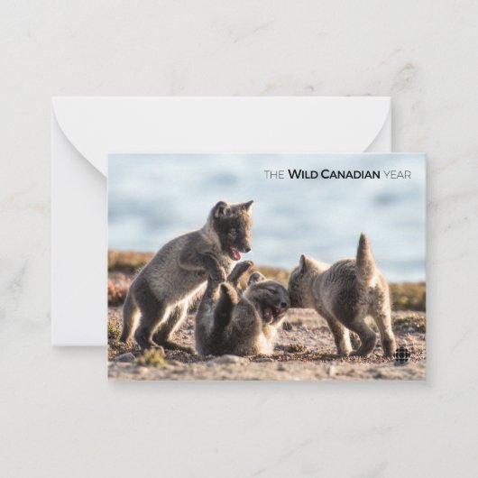 Lente - poolvos notitiekaartje (Voorkant)