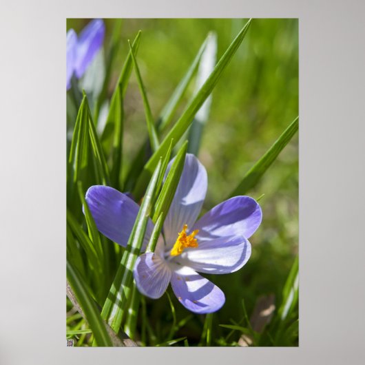 lente poster (Voorkant)