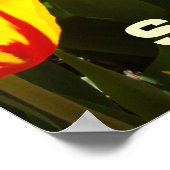 Lente poster Gele Rode Tulp Bloemen prints (Hoek)
