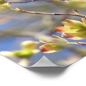 Lente - Poster / Print met appelbloesems (Hoek)