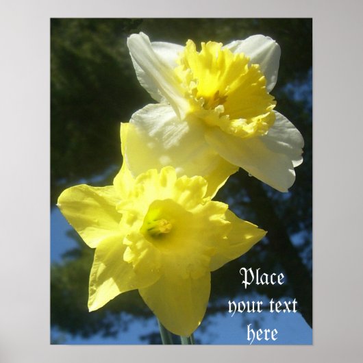 Lente prachtige daffodils aanpasbaar poster (Voorkant)