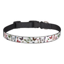 Lente Regenboog Marmer Vlinder Lente Patroon