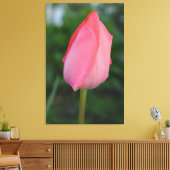 Lente rode tulp bloem fotokunst. canvas afdruk (Insitu (Woonkamer))