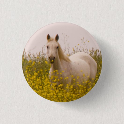 lente ronde button 3,2 cm (Voorkant)