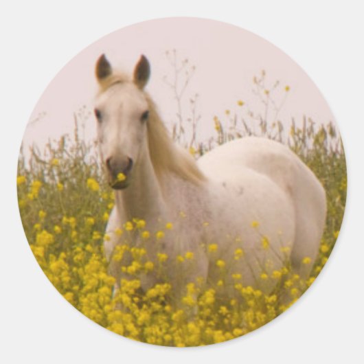 lente ronde sticker (Voorkant)