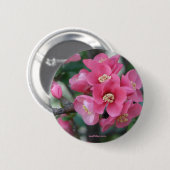 Lente Roze Bloeiende Bloeiende Kweepeer Ronde Button 5,7 Cm (Voorkant /achterkant)