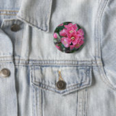Lente Roze Bloeiende Bloeiende Kweepeer Ronde Button 5,7 Cm (In situ)