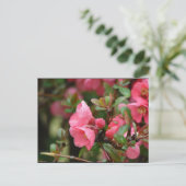 Lente Roze Bloeiende Kwee Briefkaart (Staand voorkant)