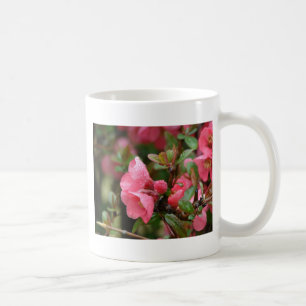 Lente Roze Bloeiende Kwee Koffiemok