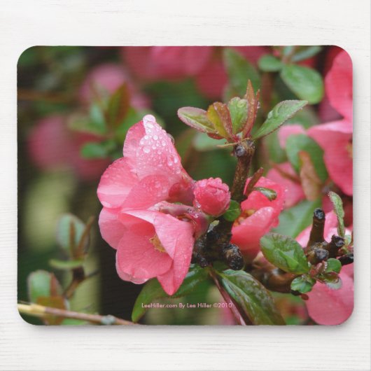 Lente Roze Bloeiende Kwee Muismat (Voorkant)