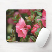 Lente roze bloeiende kweepel muismat (Met muis)