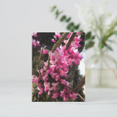 Lente Roze Bloemen Briefkaart (Staand voorkant)