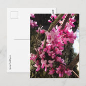 Lente Roze Bloemen Briefkaart (Voorkant / Achterkant)