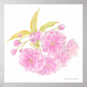Lente roze boom bloesem waterverf kunst poster