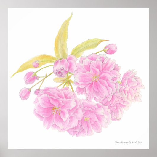 Lente roze boom bloesem waterverf kunst poster (Voorkant)