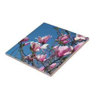 lente roze magnolia bloemen in blauwe lucht tegeltje