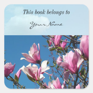 lente roze magnolia bloemen in blauwe lucht vierkante sticker