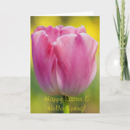Lente Roze Tulp Wenskaart Kaart