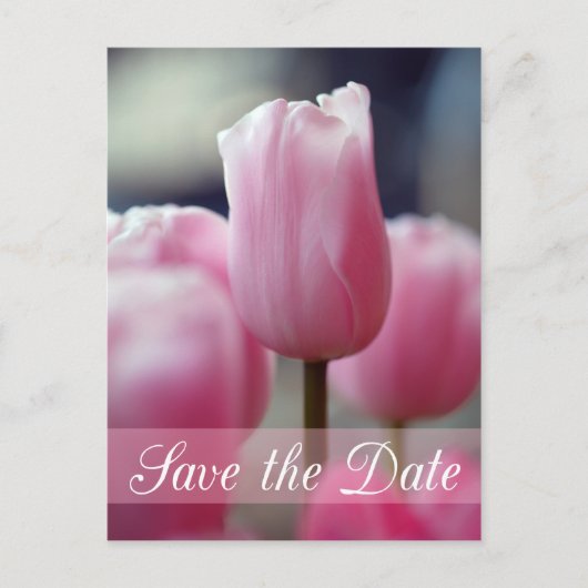 Lente roze tulpenbloem bruiloft save the date aankondigingskaart (Voorkant)