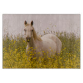 lente snijplank (Voorkant)