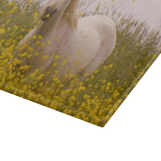 lente snijplank (Hoek)